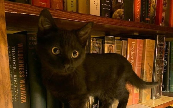 Zbiórka książkowe hobby - zdjęcie główne