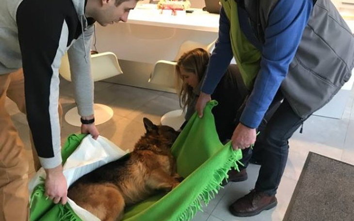 Zbiórka mój przyjaciel odszedł, ja walcz - zdjęcie główne