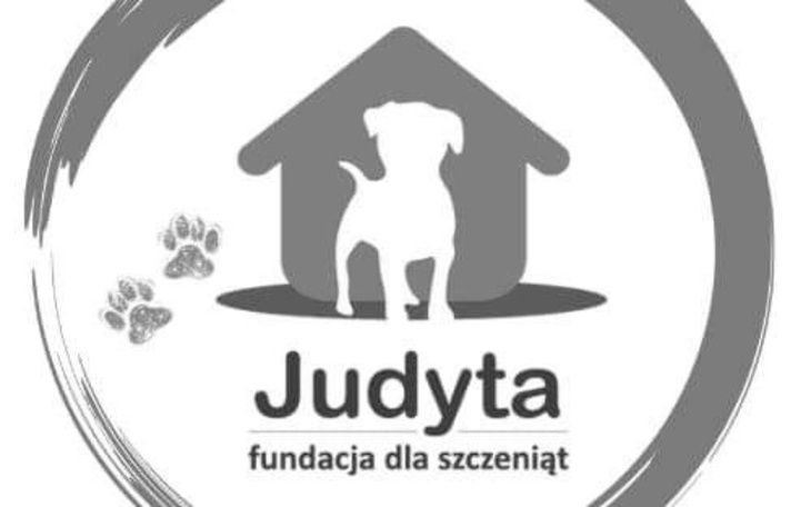 Zbiórka Ku pamięci Babci Tereski - zdjęcie główne