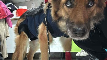 Zbiórka Wartość życia Emi - miniaturka zdjęcia