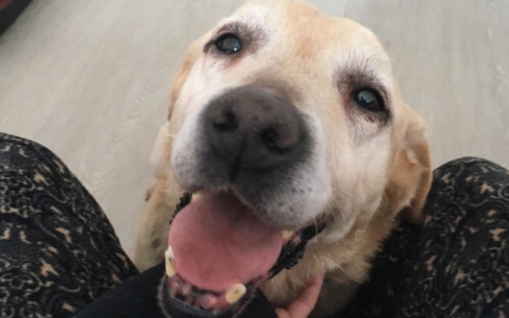 Zbiórka Walka seniorów z kleszczami. - zdjęcie główne