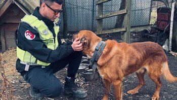 Zbiórka Usunięcie bomby zegarowej Herta - miniaturka zdjęcia