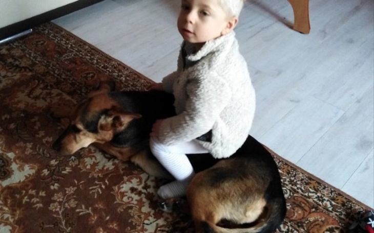 Zbiórka Dogoterapia, szkolenie psów - zdjęcie główne