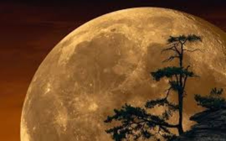 Zbiórka na dowolny cel cel 10 000 zł - zdjęcie główne