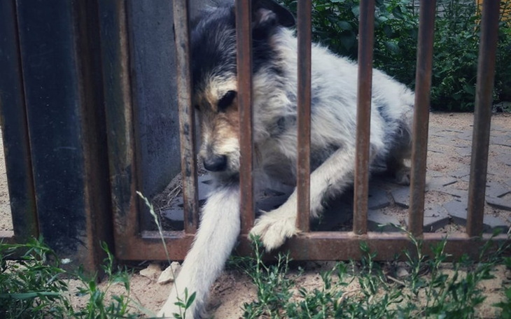 Zbiórka Mikołaje z Asseco - zdjęcie główne
