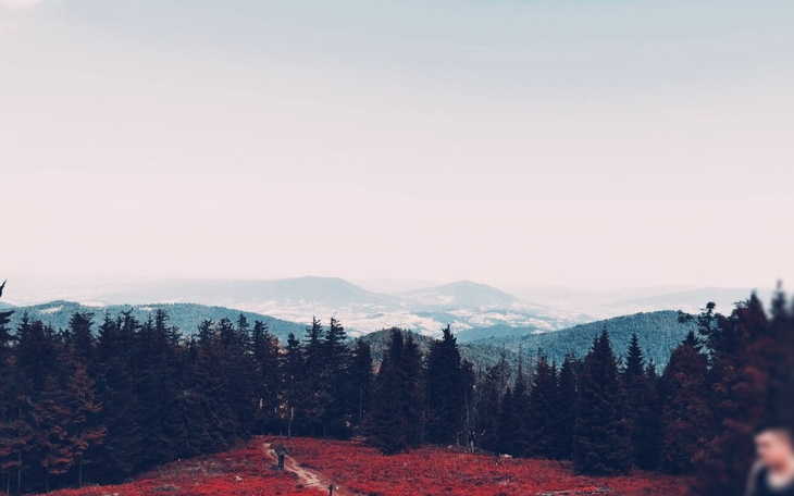 Zbiórka Pomocy Komornik puka do drzwi - zdjęcie główne