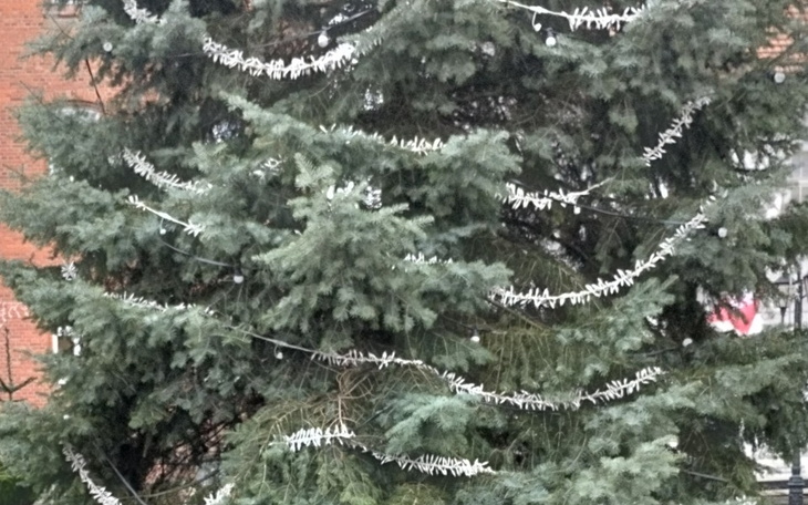 Zbiórka Trudna sytuacja domowa - zdjęcie główne