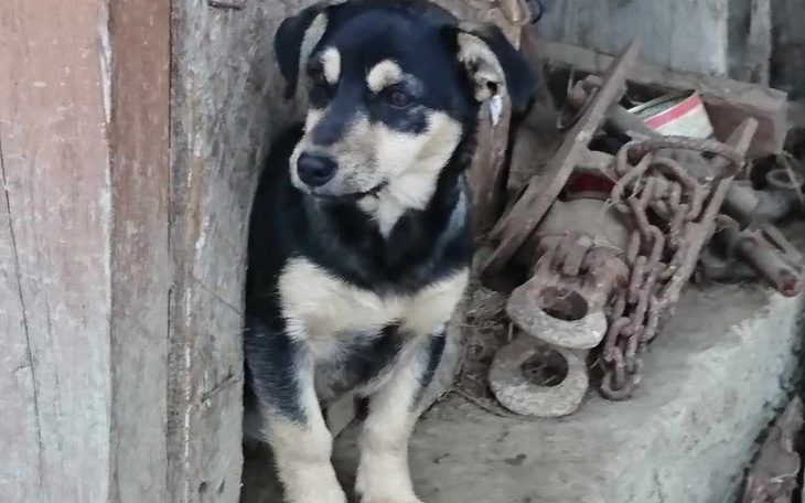 Zbiórka Ocalmy je przed zamarznięciem... - zdjęcie główne