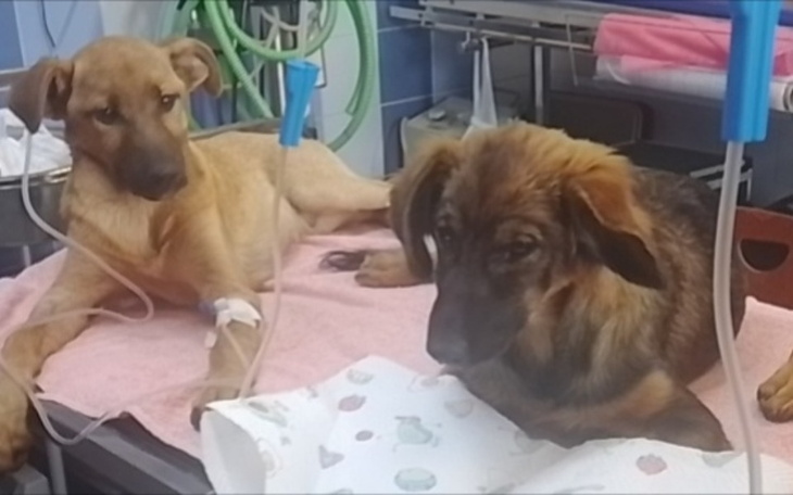 Zbiórka Kremacja iskierki Atomówki - zdjęcie główne