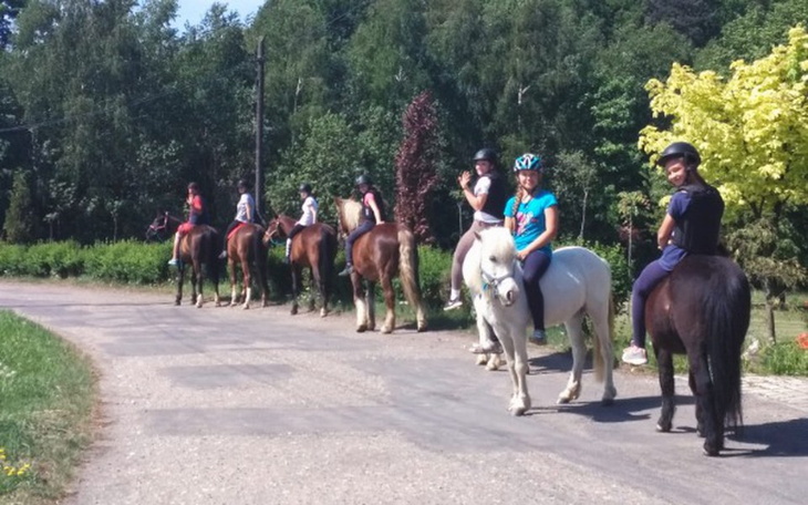 Zbiórka Rajd dla hipoterapii - zdjęcie główne