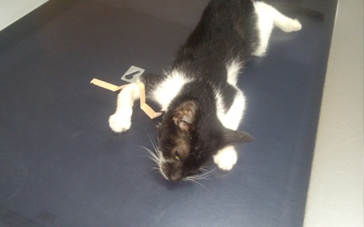 Zbiórka Leżałam na ulicy - zdjęcie główne