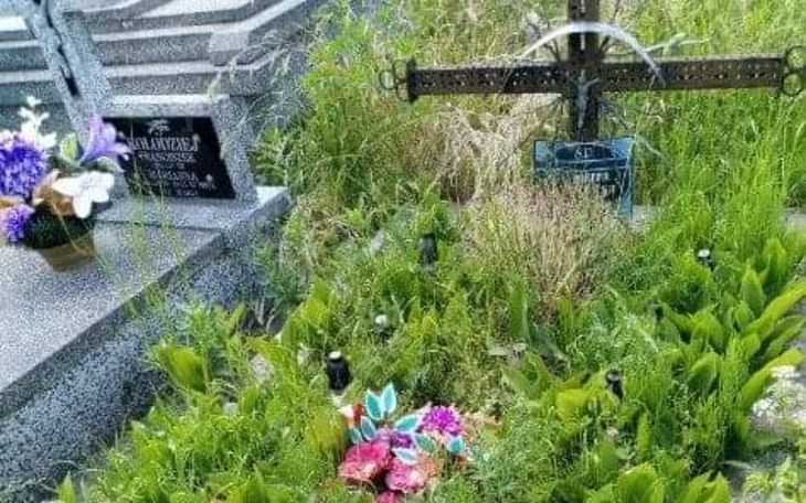 Zielona roślinność wokół grobu, z kwiatami i krzyżem.