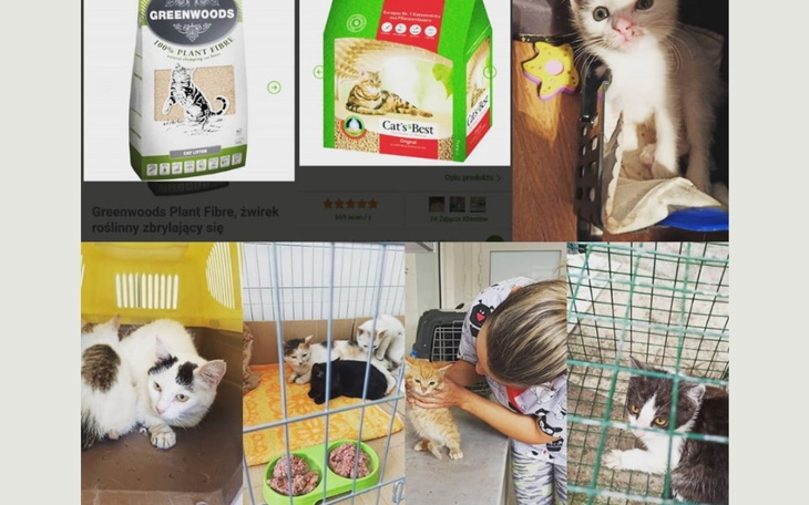 Zbiórka Kotyy - zdjęcie główne