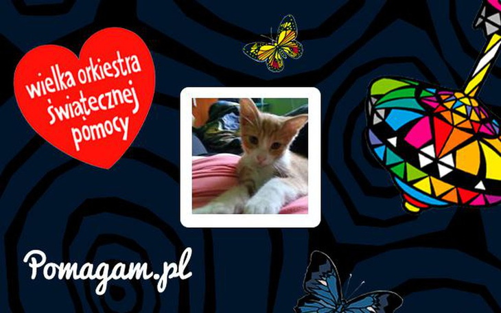 Zbiórka Zbiórka dla WOŚP #81214 - zdjęcie główne