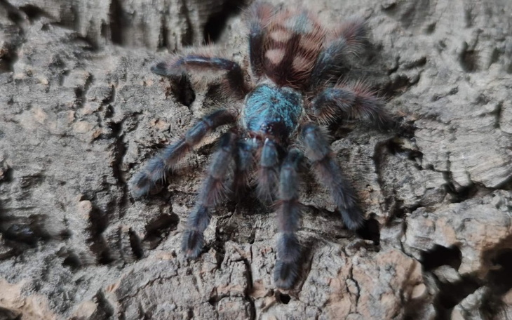 Zbiórka Pieniądze na czynsz i rachunki - zdjęcie główne