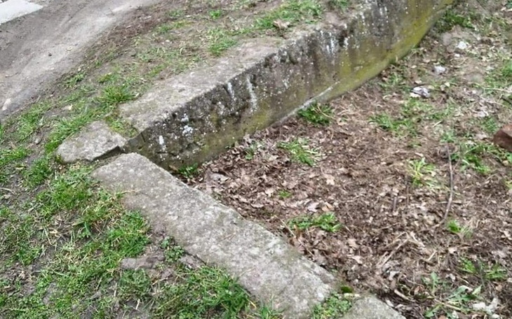 Zbiórka Zęby dla Kacpra - zdjęcie główne