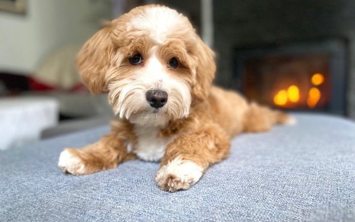 Zbiórka Na stworzenie utworu muzyki - zdjęcie główne