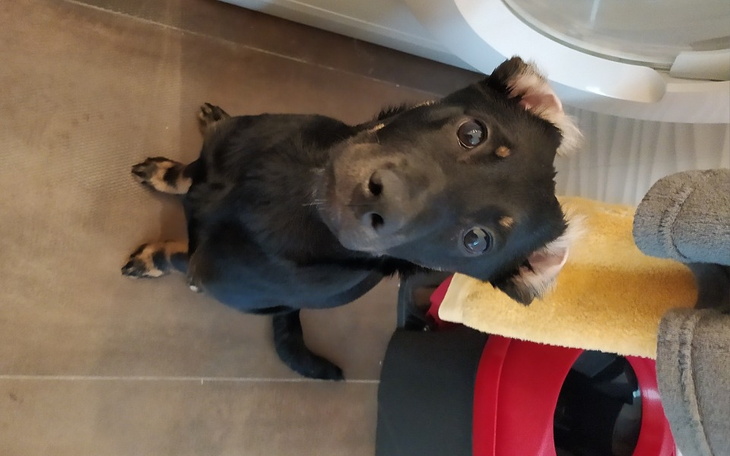 Zbiórka Życie dwójki młodych ludzi - zdjęcie główne