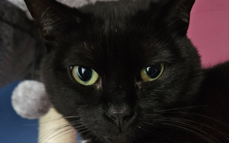 Zbiórka Wizyta u stomatologa - zdjęcie główne