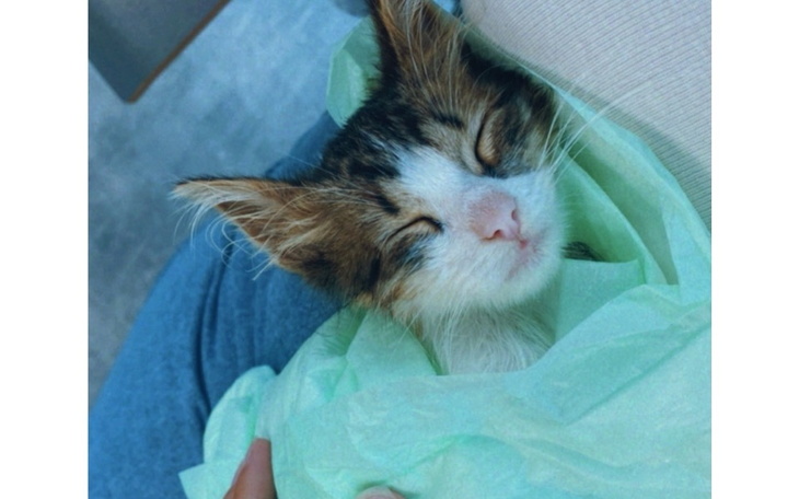 Zbiórka Walka o Ohri - zdjęcie główne