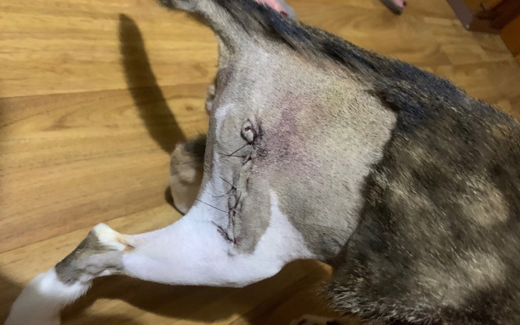 Zbiórka Nie ma roku - złamana kość udowa - zdjęcie główne