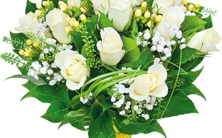 Zbiórka reahibiltacja i leczenie - zdjęcie główne