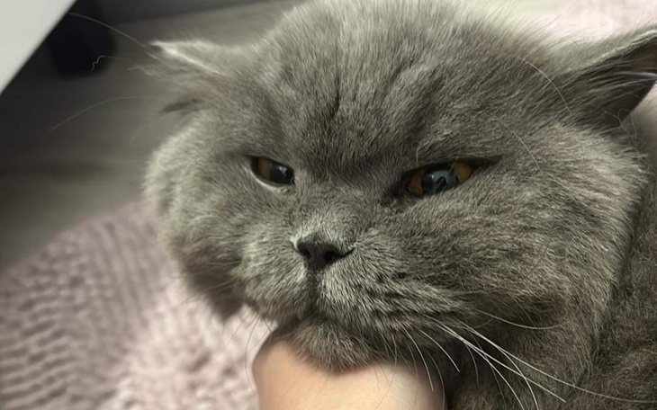 Zbiórka Wirus u mojego przyjaciela. - zdjęcie główne