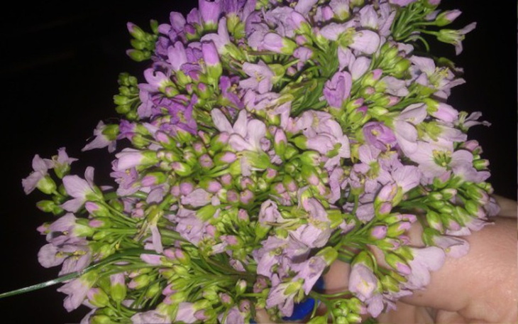 Zbiórka Spłata trudna do zapłaty - zdjęcie główne