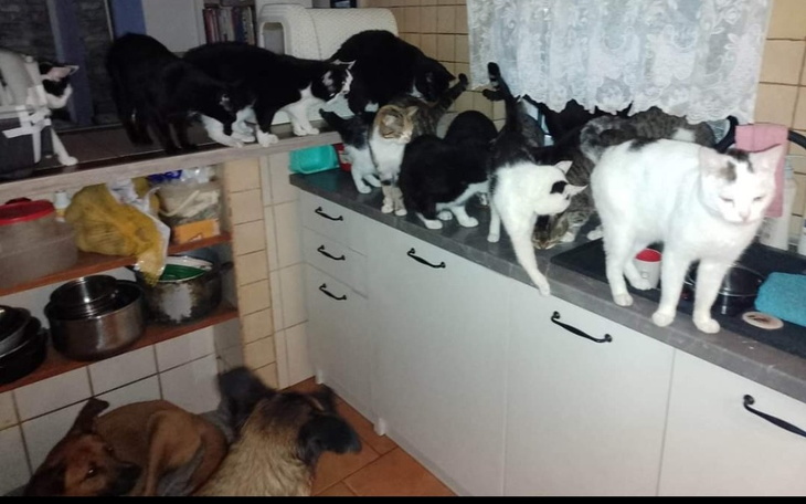 Zbiórka Miłość na ostatnie dni - zdjęcie główne