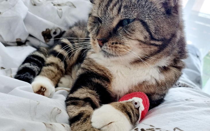 Zbiórka 19- letni Wojtek walczy o życie - zdjęcie główne