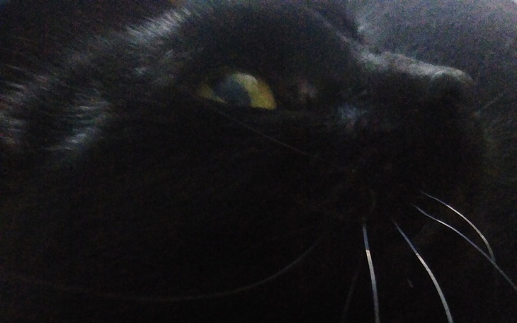 Zbiórka Prosimy o pomoc-nerki i wątroba - zdjęcie główne