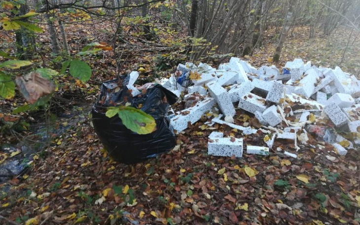 Zbiórka Chrońmy nasze środowisko - zdjęcie główne