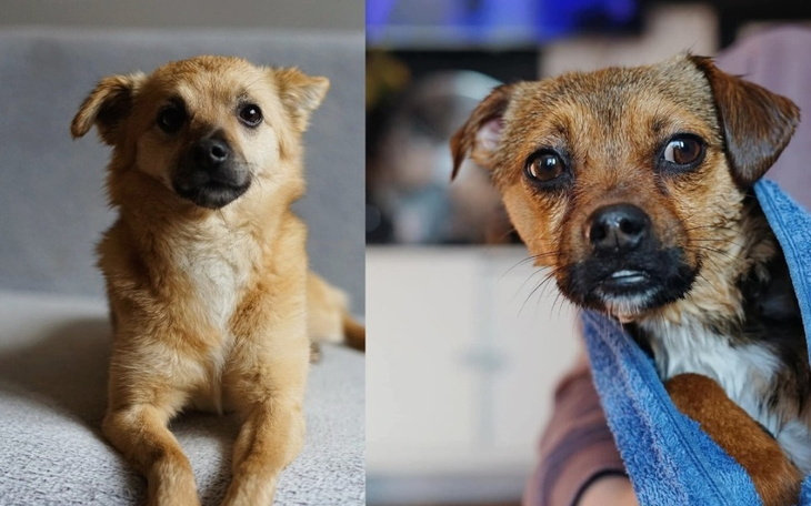 Chłopiec stoi na plaży, patrząc na morze.