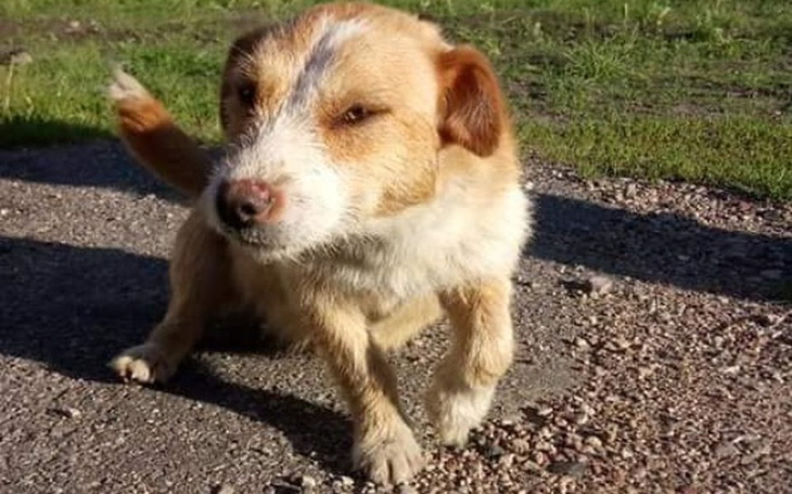 Zbiórka By uciec przed Radysami - zdjęcie główne