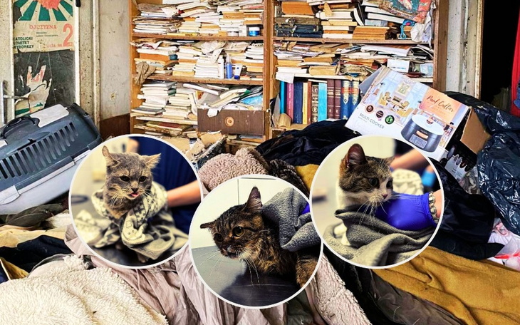 Zabałaganione pomieszczenie z książkami i zwierzętami.