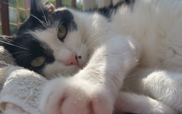 Zbiórka Zbiórka na opłacanie faktur za l - zdjęcie główne