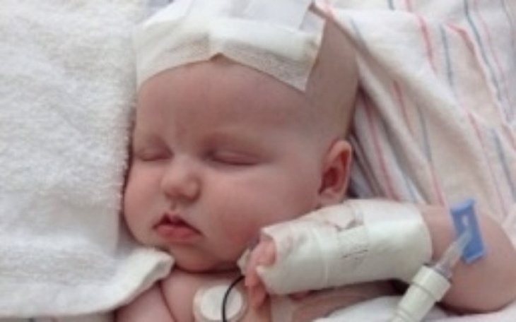 Zbiórka Marysia Prosi o życie. - zdjęcie główne