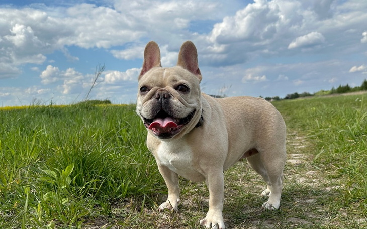 Zbiórka Operacja kręgosłupa u Frusi - zdjęcie główne