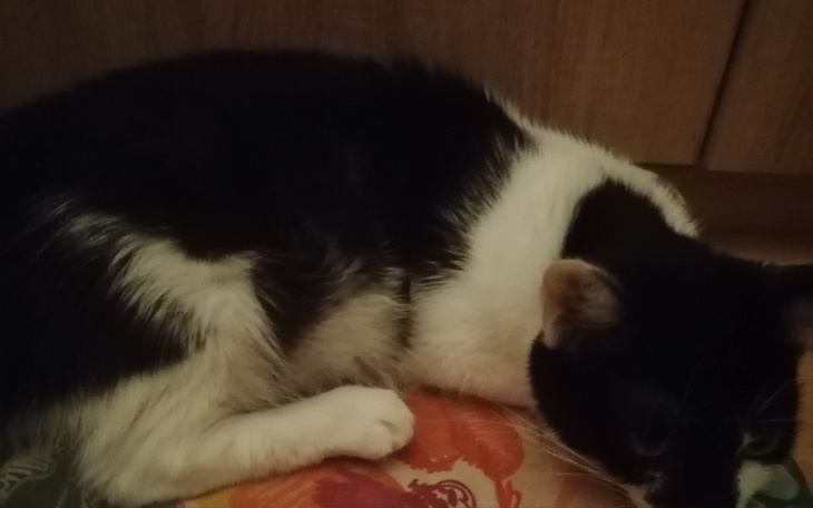 Zbiórka Na leczenie Balbinki... - zdjęcie główne