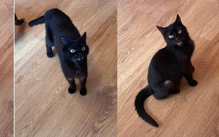 Zbiórka Szansa na życie dla Abry - zdjęcie główne