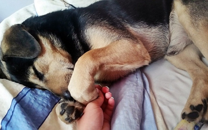 Zbiórka Błagam, jestem w kropce - zdjęcie główne