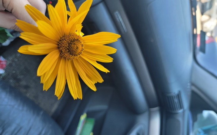 Zbiórka Spłata ex męża - - zdjęcie główne