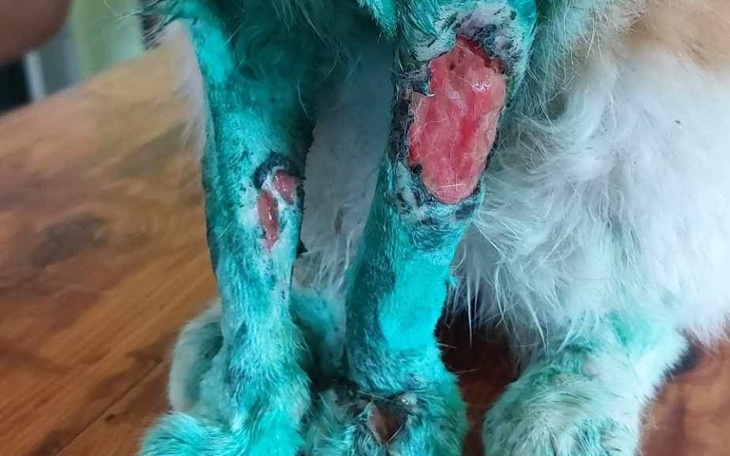 Zbiórka Poparzony środkami chemicznymi - zdjęcie główne