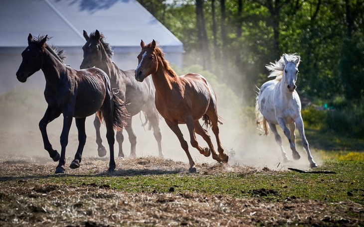 Widok na szpitalne łóżko z pacjentem w kołnierzu ortopedycznym.