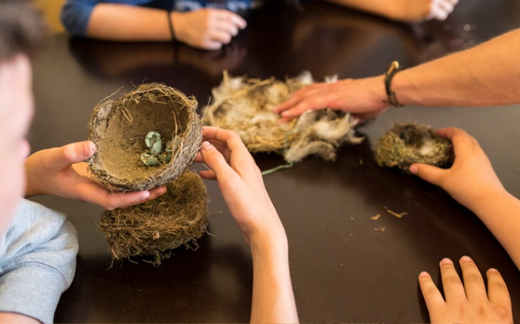 Zbiórka Pomoc dla Domu dziecka w Bochni - zdjęcie główne