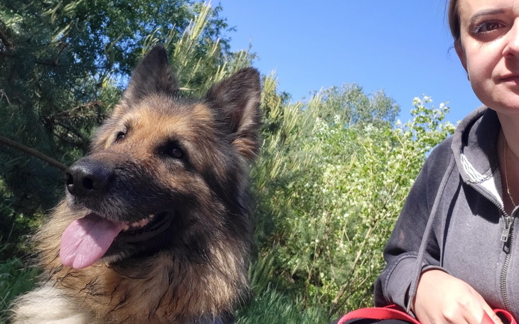 Zbiórka Akcesoria i przysmaki - zdjęcie główne