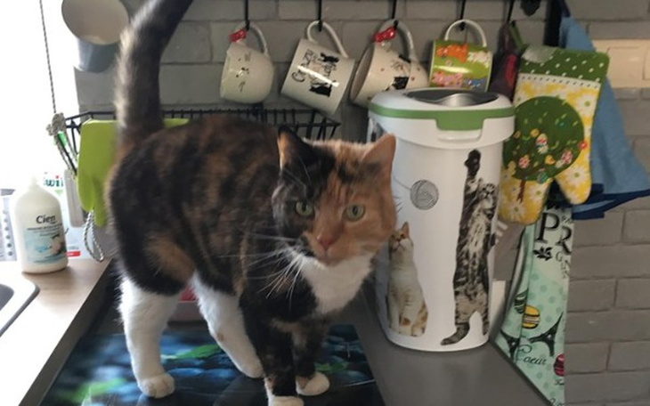 Zbiórka Na ratunek 13-letniej Basi - zdjęcie główne