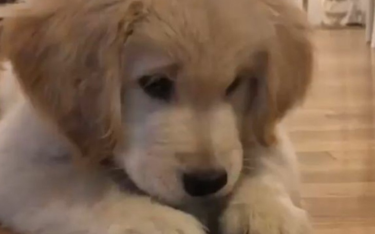 Zbiórka Aparatburka - zdjęcie główne