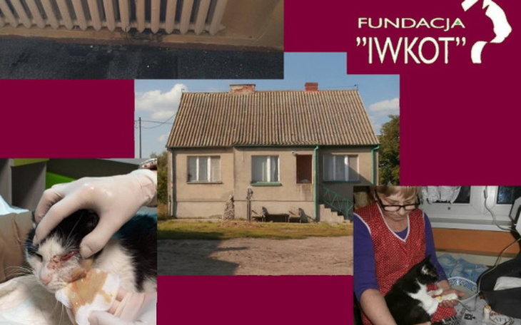 Zbiórka Na Koci Dom - zdjęcie główne