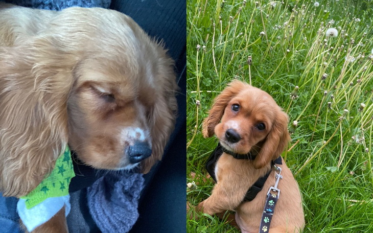 Zbiórka Proszę pomóż mi dojść do zdrowia - zdjęcie główne